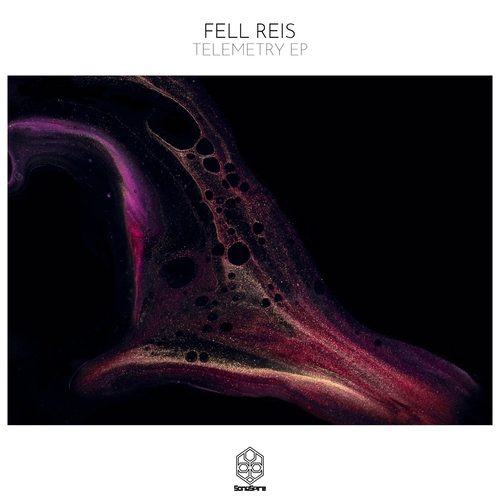 Fell Reis - Telemetry EP [SSR211]